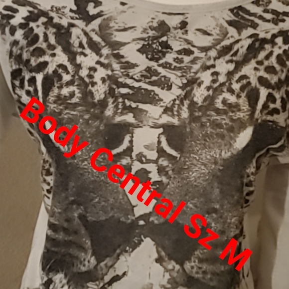 Lot - Picture 2 of 10